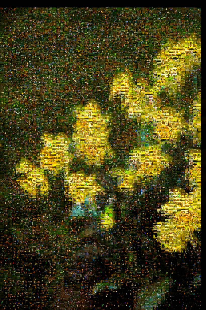 Illustration for article titled Shooting Challenge: Mosaic